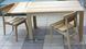 Дерев'яний стіл "Soggiorno" з крилом, Ясень, ШхД: 60х90+30см